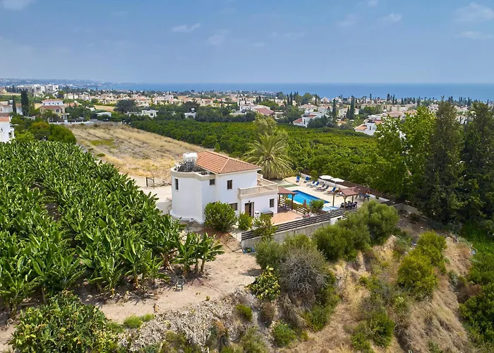 Ambrosia In Coral Bay *